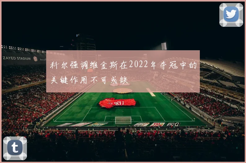 科尔强调维金斯在2022年夺冠中的关键作用不可或缺